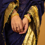 RADHIKA BHARDWAJ IN OUR NEEL SITARA SAREE