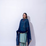 FIZA ZARI KURTA SET